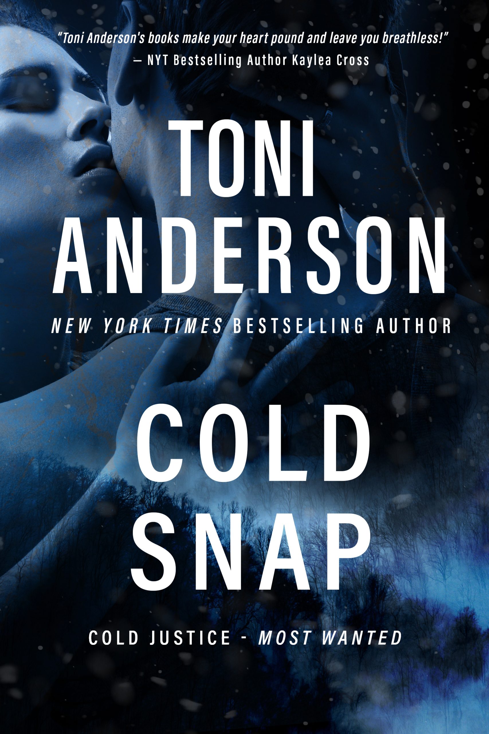 Book cover for Toni Anderson's Romantic Thriller Cold Snap